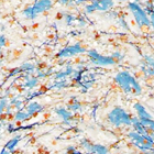 E60-02 �����໨