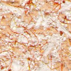 E60-01 ϲ����ʵ