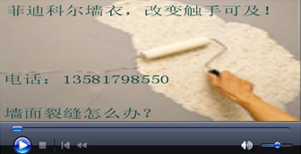 �ɷ�����(���ַ�����)